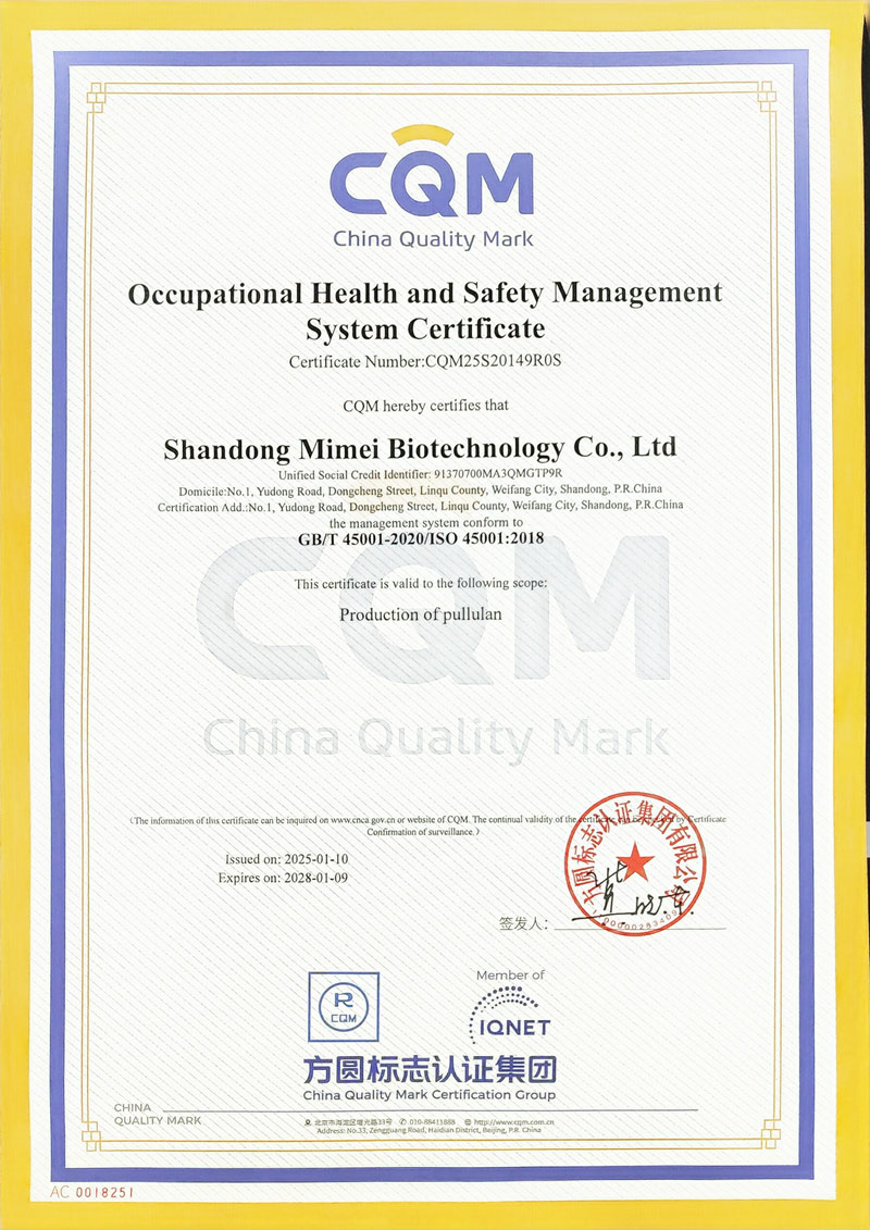 Occupational Health and Safety Management System Certification